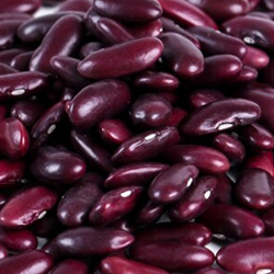 Kidney Beans